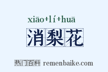 消梨花是什么意思的图片